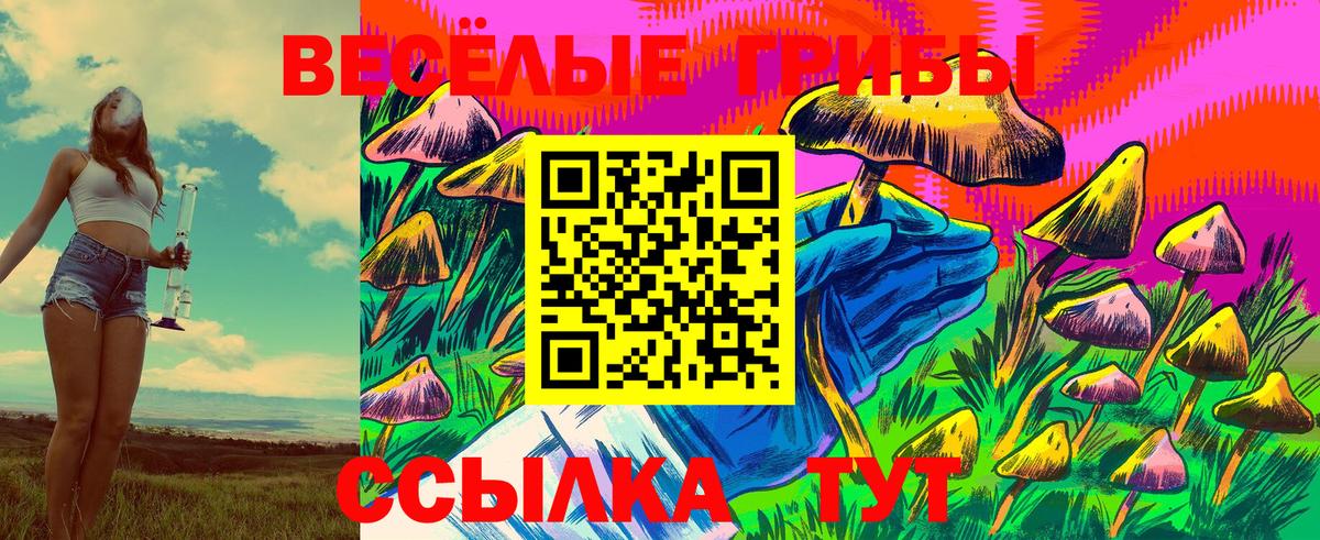 Псилоцибиновые грибы Cubensis  Вход с VPN  Ухта 