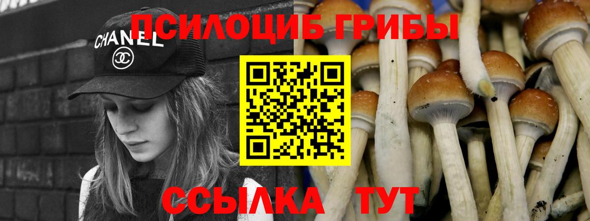 А ПВП Ухта